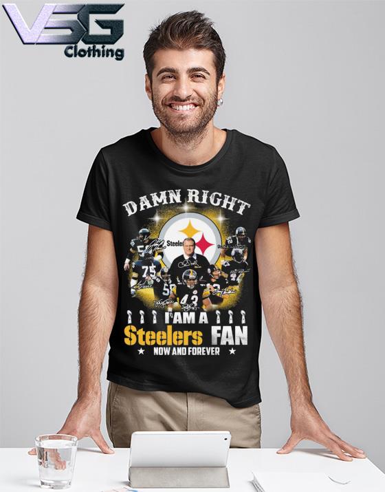 Pittsburgh Steelers T Shirt For Fan 